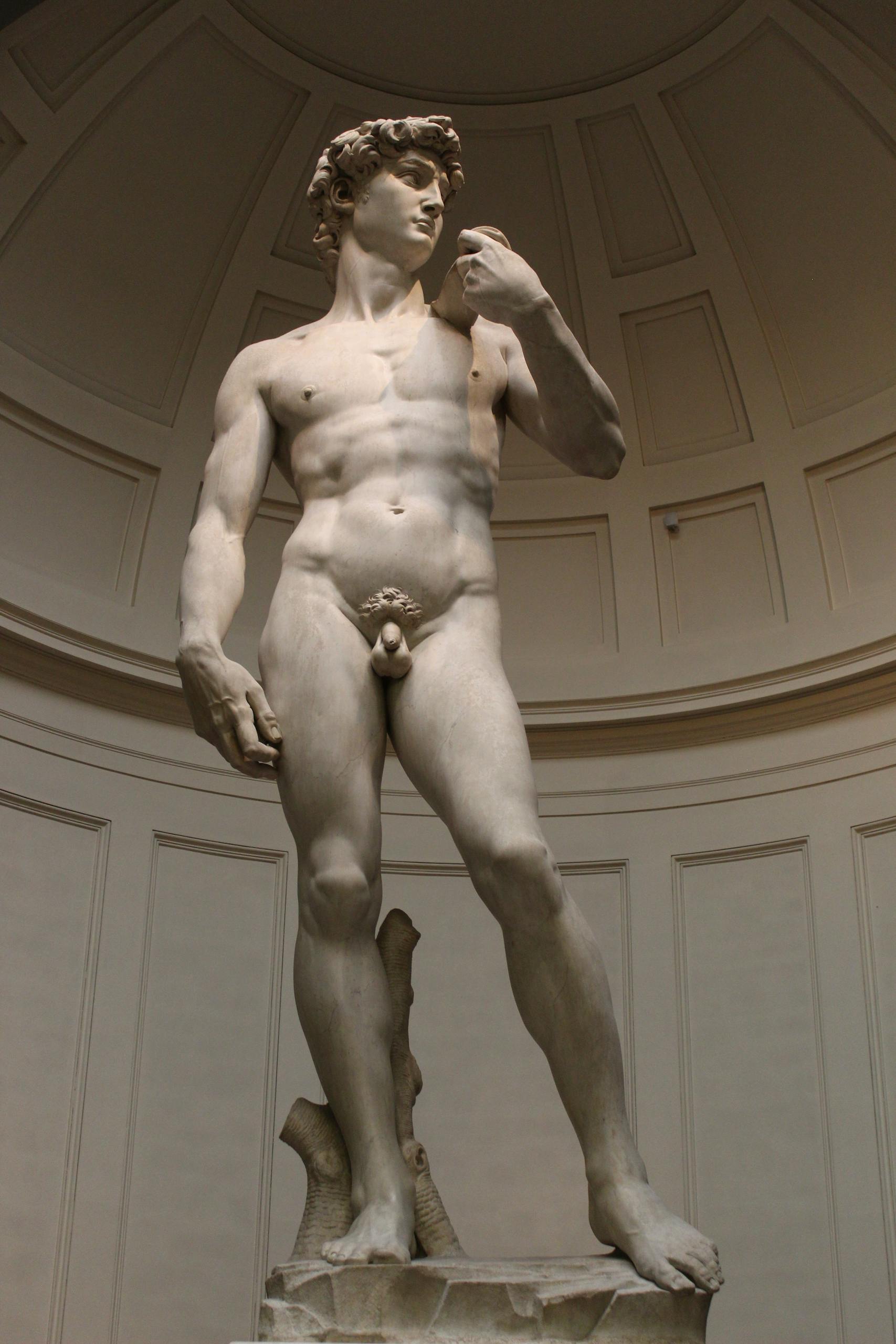The iconic marble statue of David by Michelangelo, located indoors.